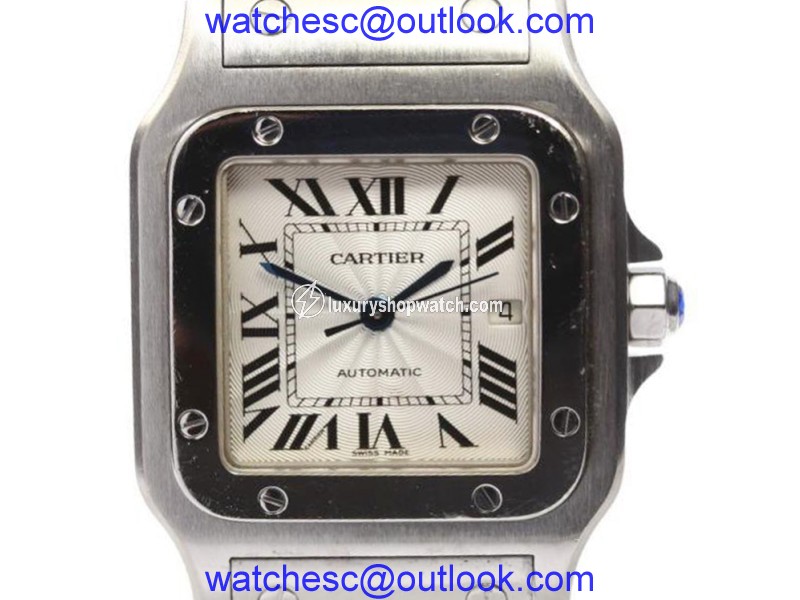 Cartier Santos W20055D6 Stainless Steel Automatic 29mm Mens Watch Cartier