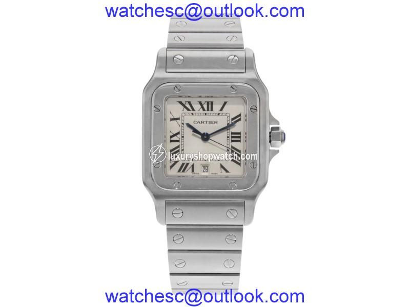 Cartier Santos W519723 29mm Unisex Watch Cartier