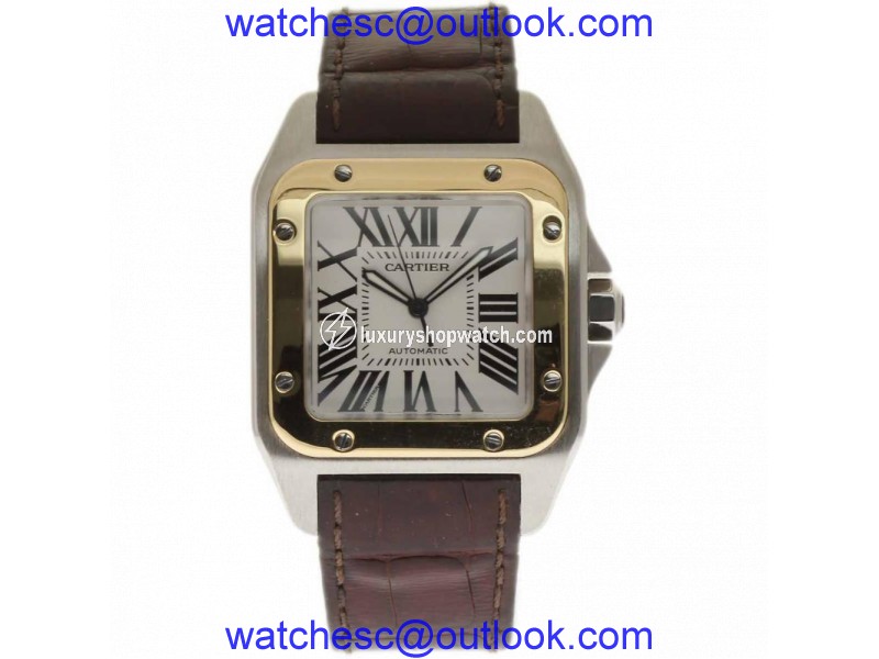 Cartier Santos 100 W20072X7 Stainless Steel & Leather Automatic 38mm Mens Watch Cartier