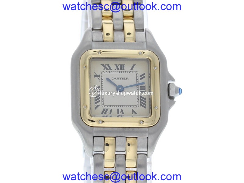 Cartier Panthere 168921 Stainless Steel & 18K Yellow Gold Quartz 23mm Womens Watch Cartier