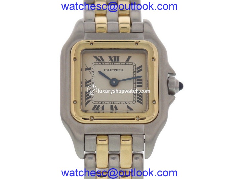 Cartier Panthere 1057917C 18K Yellow Gold / Stainless Steel 22mm Womens Watch Cartier