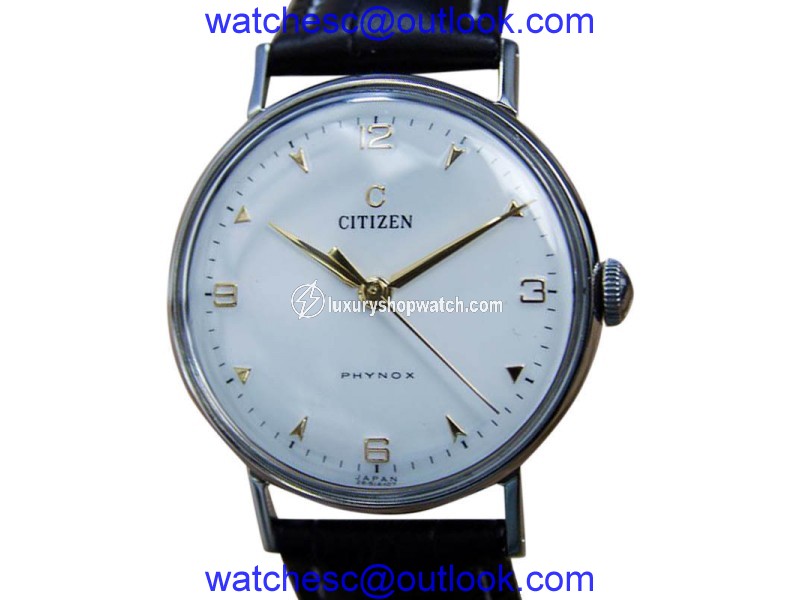 Citizen Phynox Stainless Steel & Leather 33mm Watch Citizen DeLuxe