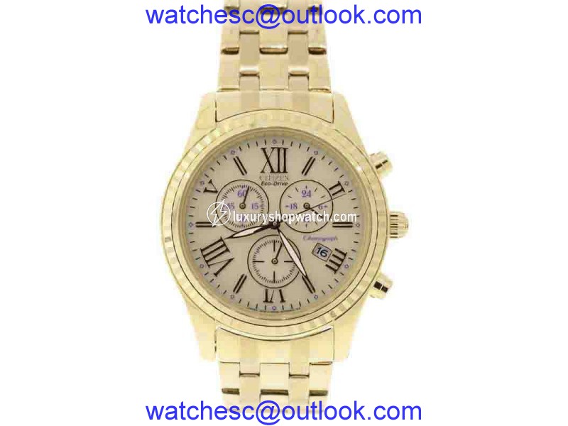 Citizen Eco-Drive FB1362-59P Gold-Tone Stainless Steel 40mm Womens Watch Citizen