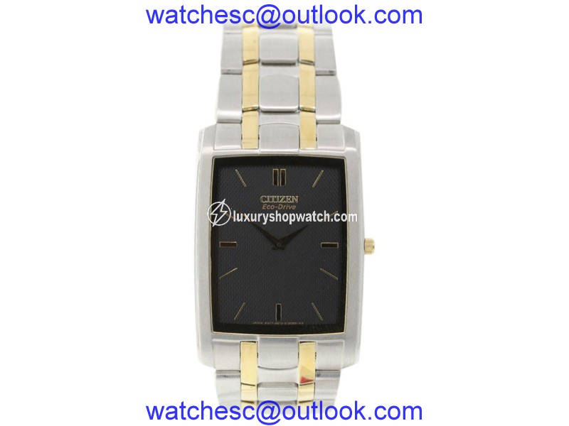 Citizen Eco-Drive AR3034-59E Two-Tone Stainless Steel with Black Dial 23mm Womens Watch Citizen
