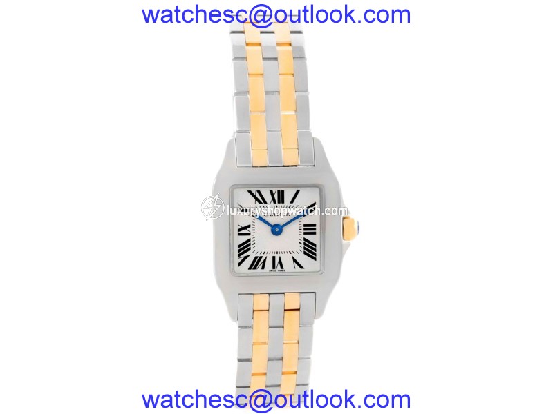 Cartier Santos Demoiselle W25066Z6 Stainless Steel & 18K Yellow Gold 22mm Womens Watch Cartier