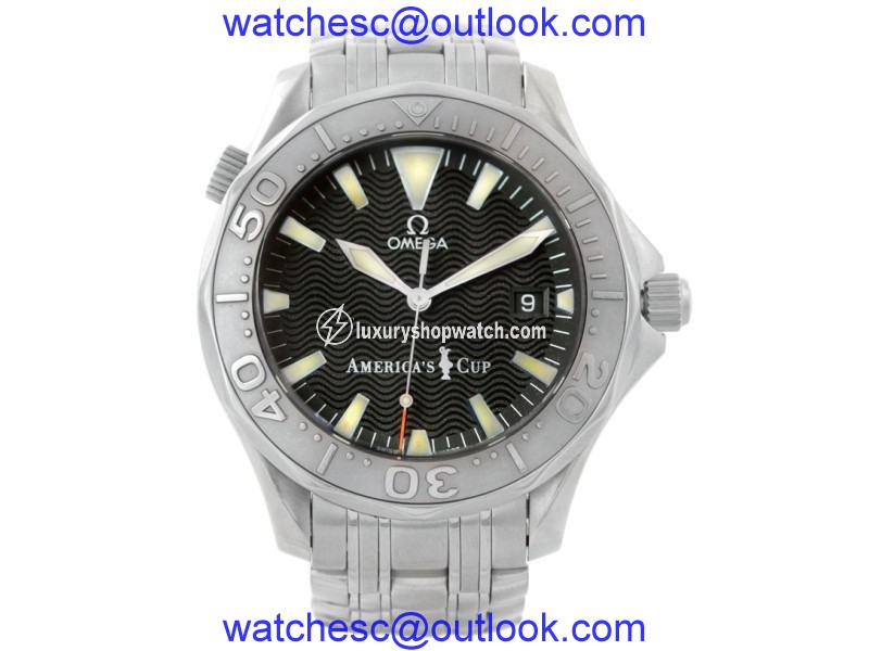 Omega Seamaster 2533.50.00 Stainless Steel/18K White Gold Automatic 41.5mm Mens Watch Omega