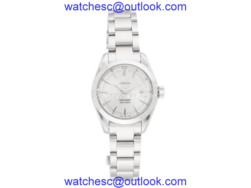 Omega Seamaster Aqua Terra Stainless Steel Quartz 29mm Men's Watch Omega